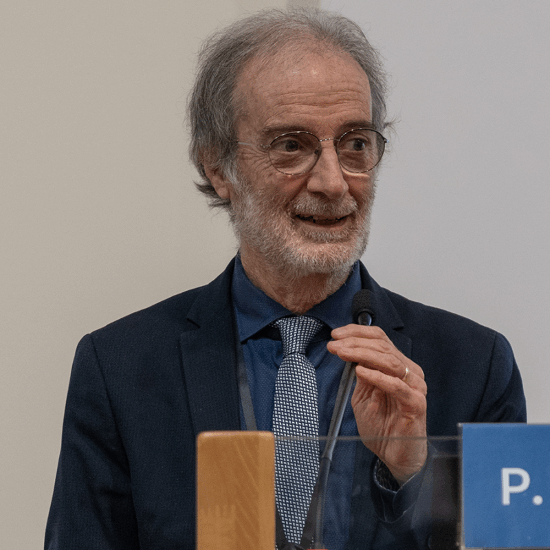 Prof. Piero Marchetti