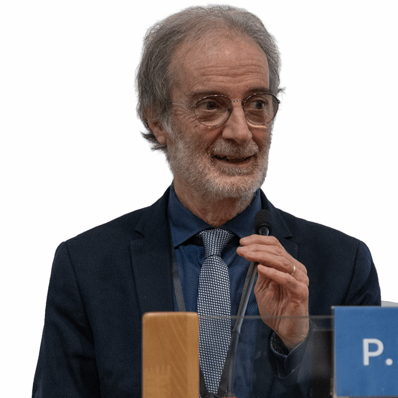 Prof. Piero Marchetti