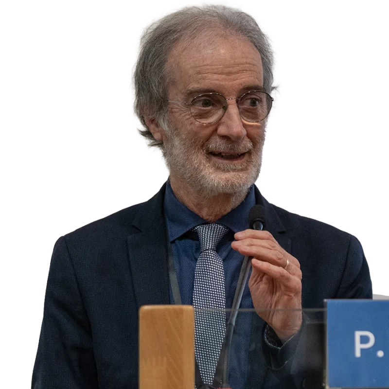 Prof. Piero Marchetti